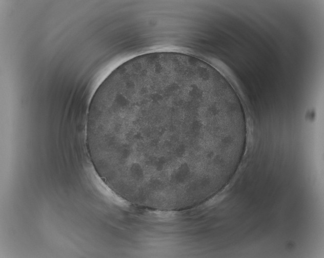 X0000113181244200909251434