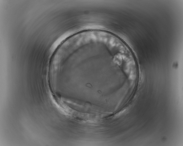 X0000113181245200909251434