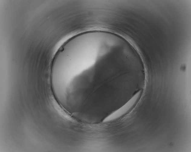 X0000113181246200909251434