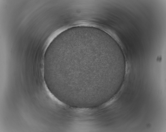 X0000113181247200909251434