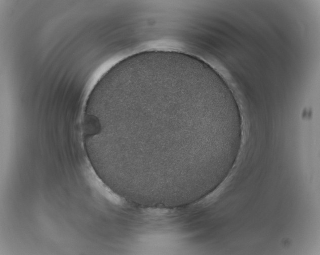 X0000113181248200909251434