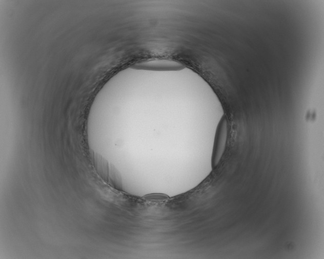 X0000113181249200909251433