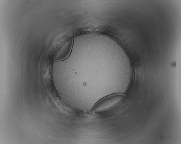 X0000113181250200909251433