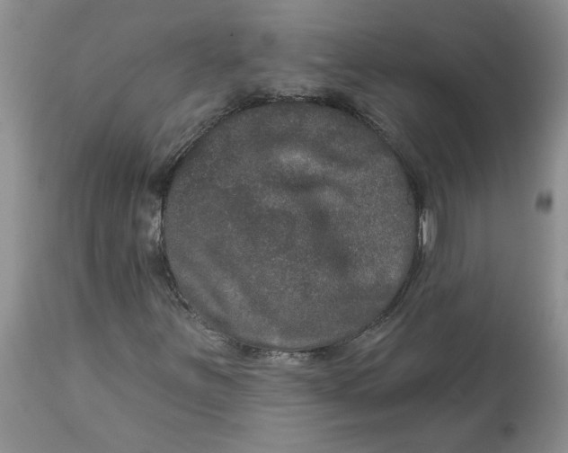 X0000113181251200909251433