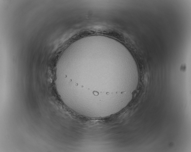 X0000113181253200909251433