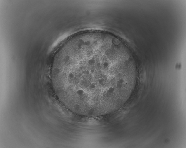 X0000113181255200909251433