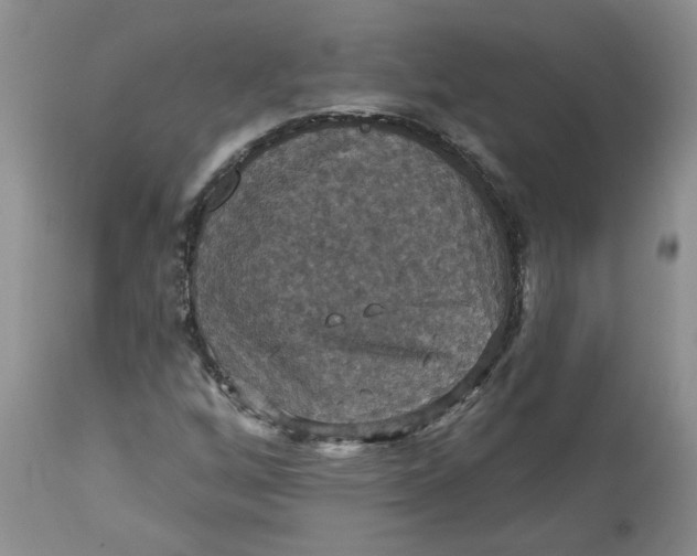 X0000113181256200909251433