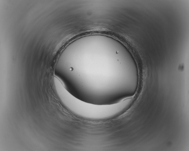 X0000113181257200909251433