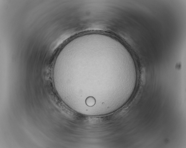 X0000113181258200909251433