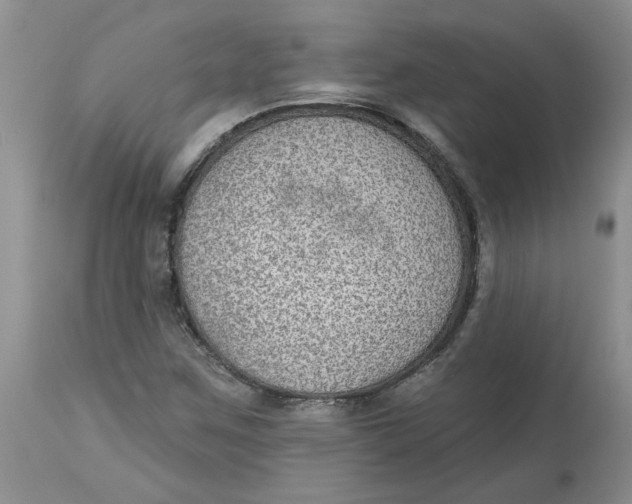 X0000113181259200909251433