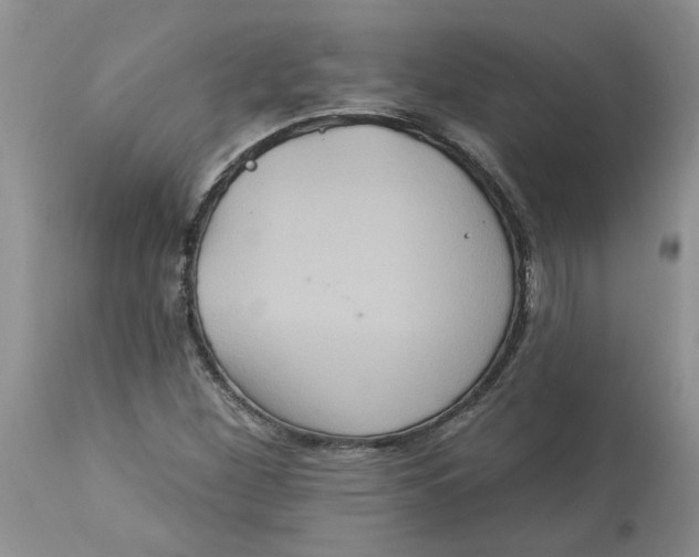 X0000113181260200909251433