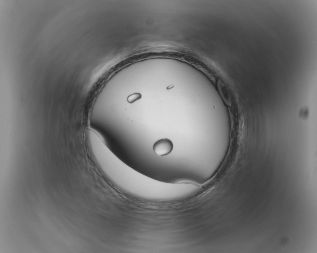 X0000113181261200909251433