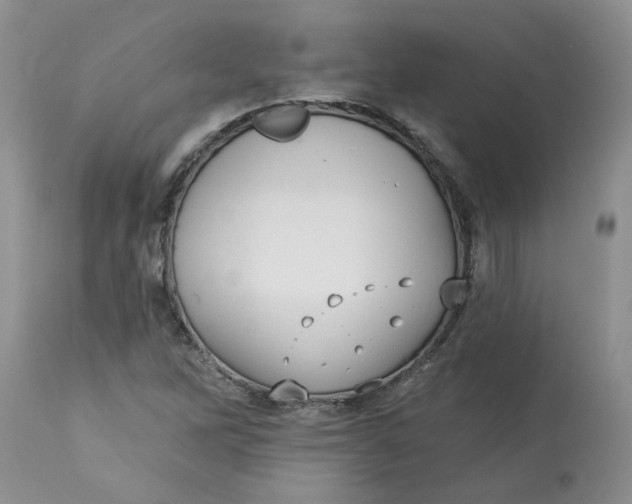 X0000113181262200909251433