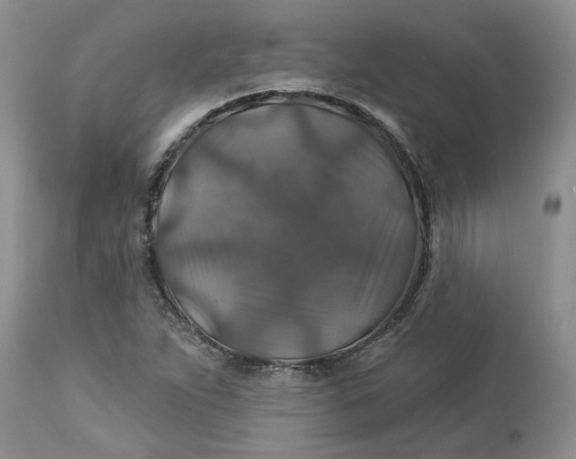 X0000113181263200909251433