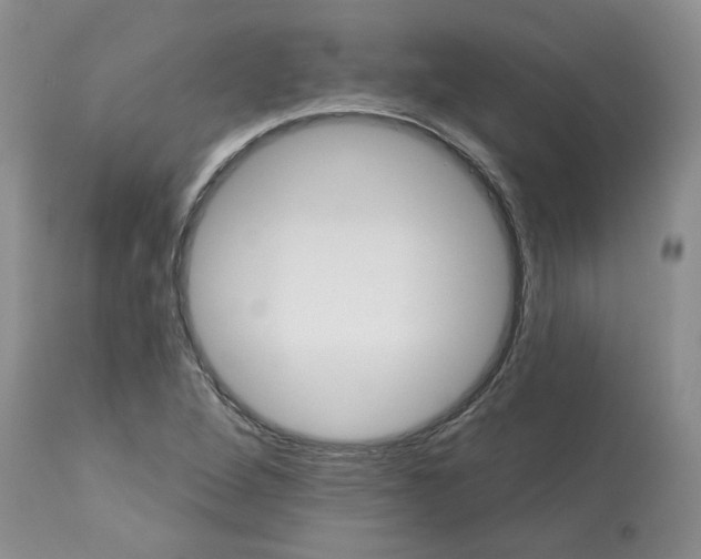 X0000113181264200909251433