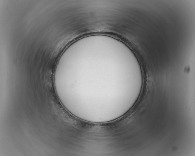 X0000113181265200909251433