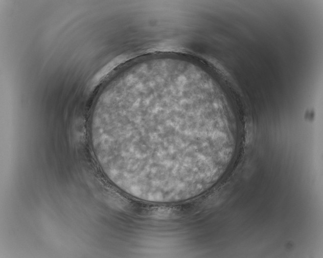 X0000113181266200909251433