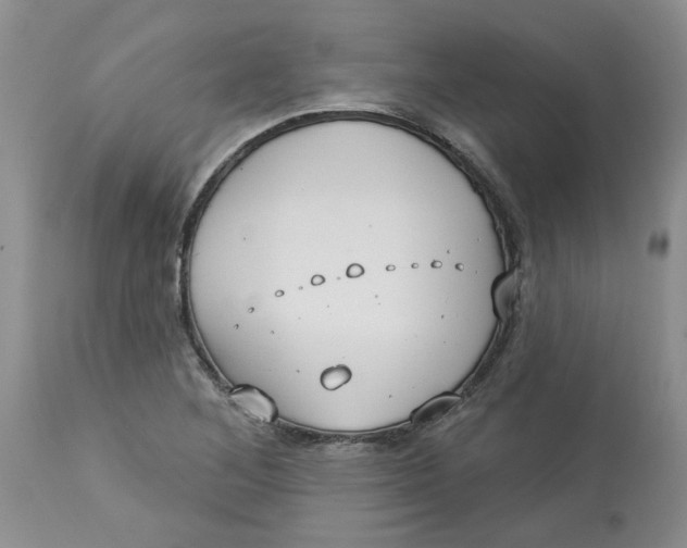 X0000113181268200909251433