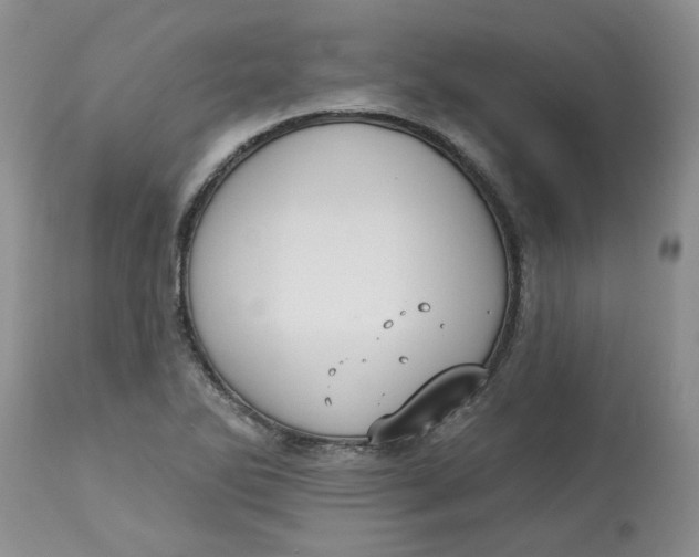 X0000113181270200909251433