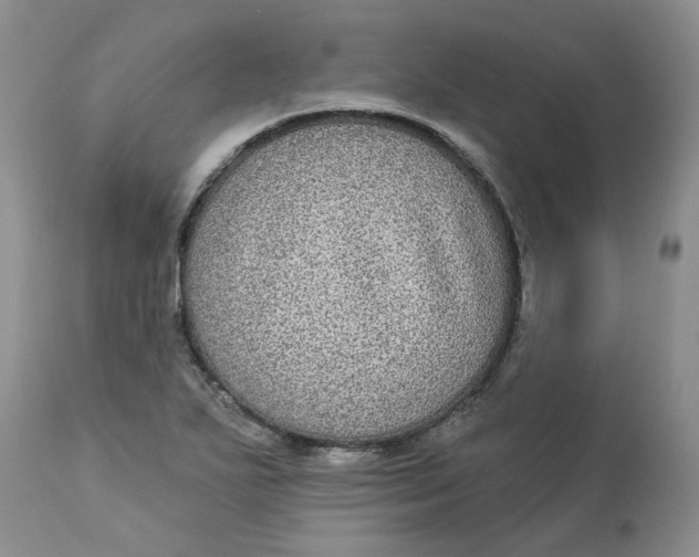 X0000113181271200909251433