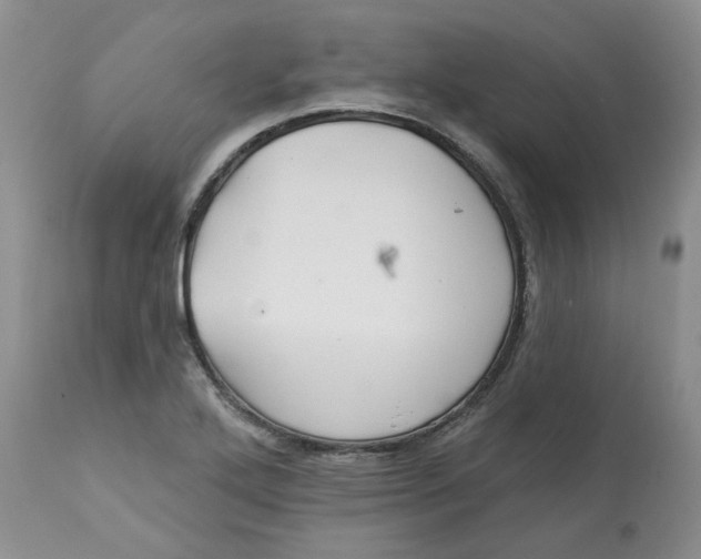 X0000113181272200909251433