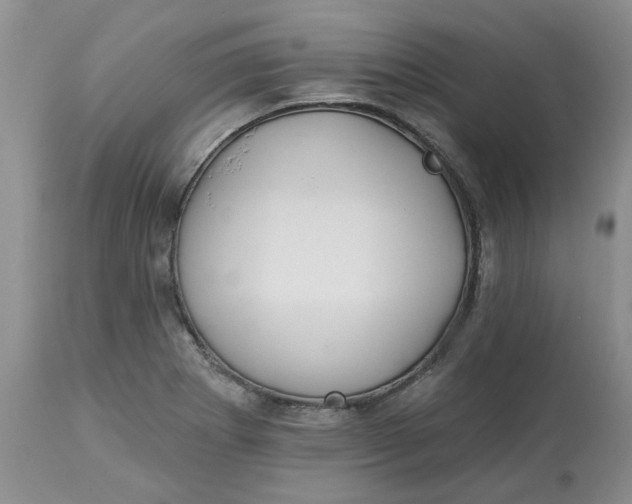 X0000113181273200909251433