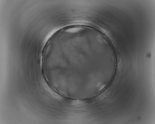 X0000113181275200909251433