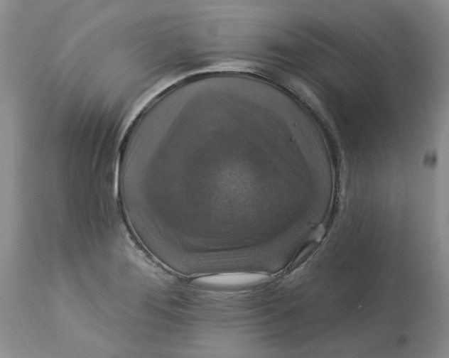 X0000113181276200909251433