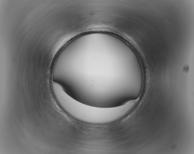 X0000113181277200909251433