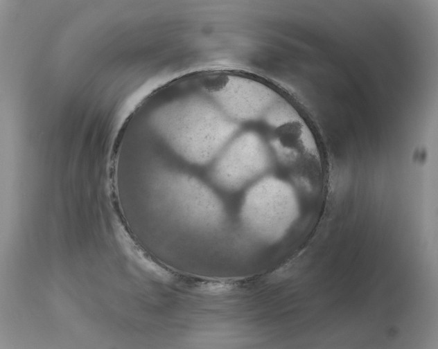 X0000113181278200909251433