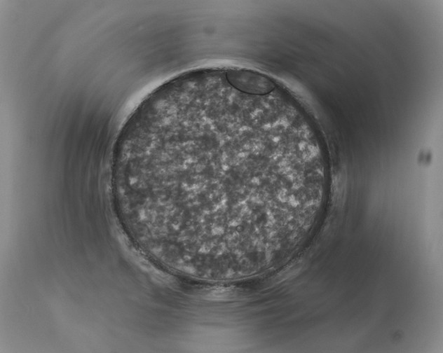 X0000113181279200909251433