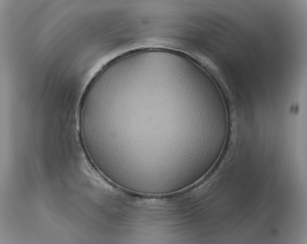 X0000113181280200909251433