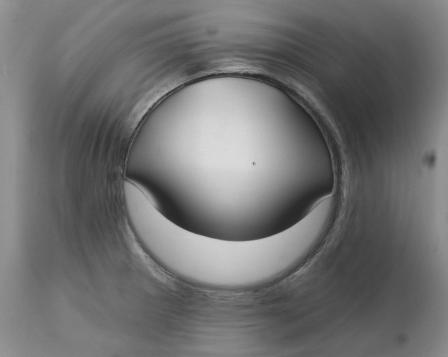 X0000113181281200909251433