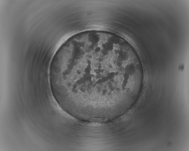 X0000113181283200909251433