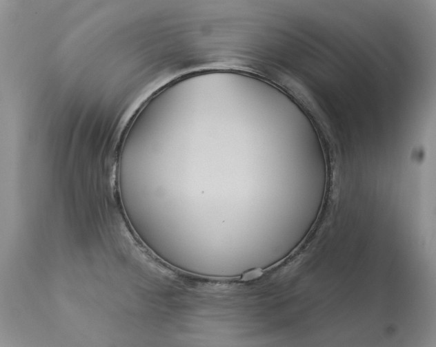 X0000113181284200909251432