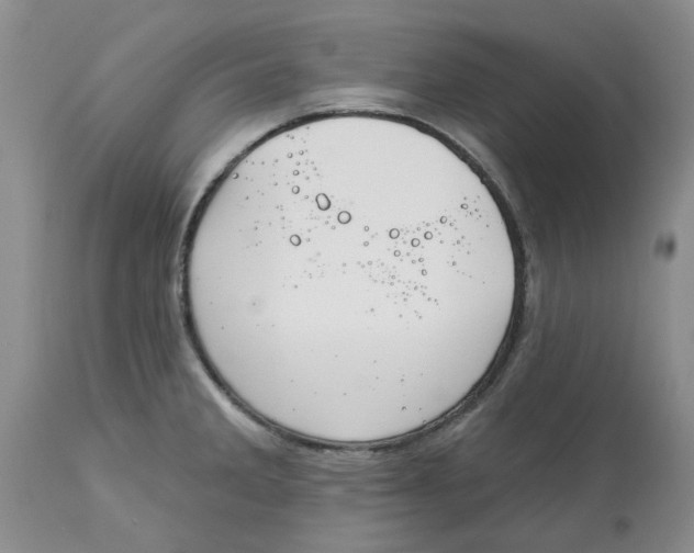 X0000113181285200909251432