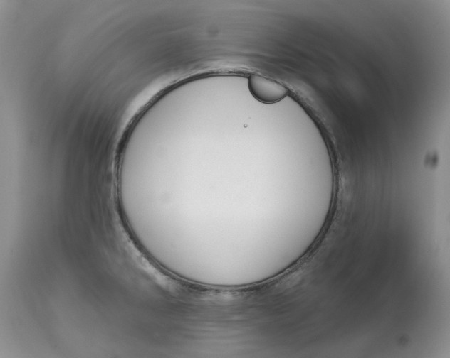 X0000113181286200909251432