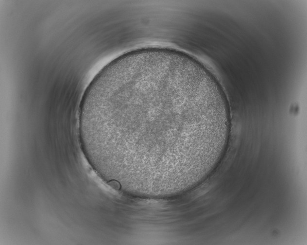 X0000113181287200909251432