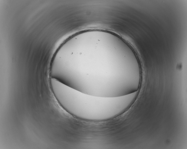 X0000113181288200909251432