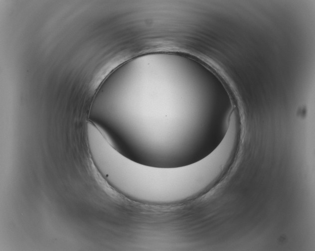 X0000113181289200909251432