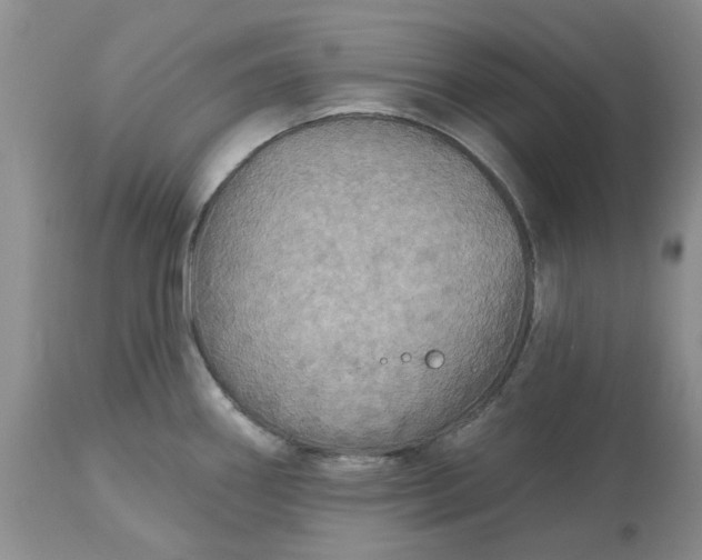 X0000113181290200909251432