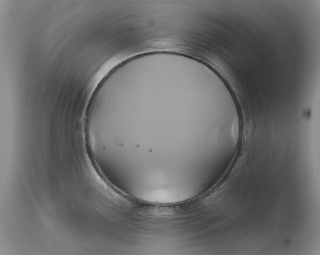 X0000113181291200909251432