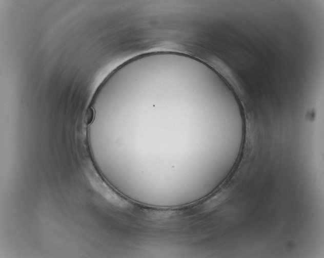 X0000113181292200909251432