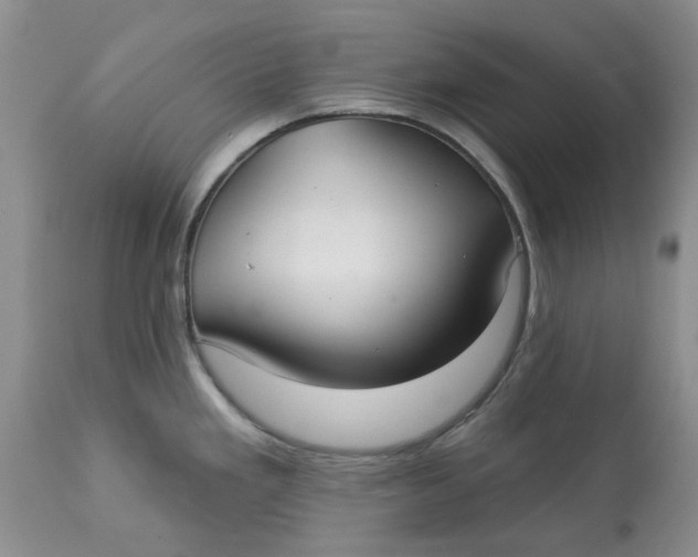 X0000113181293200909251432