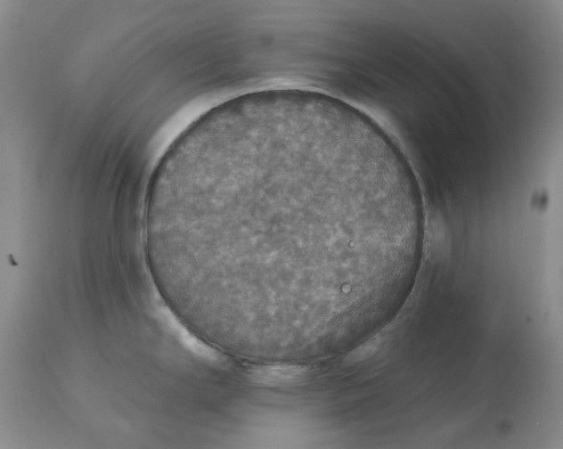 X0000113181294200909251432