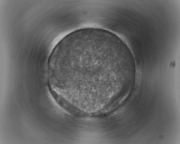 X0000113181295200909251432