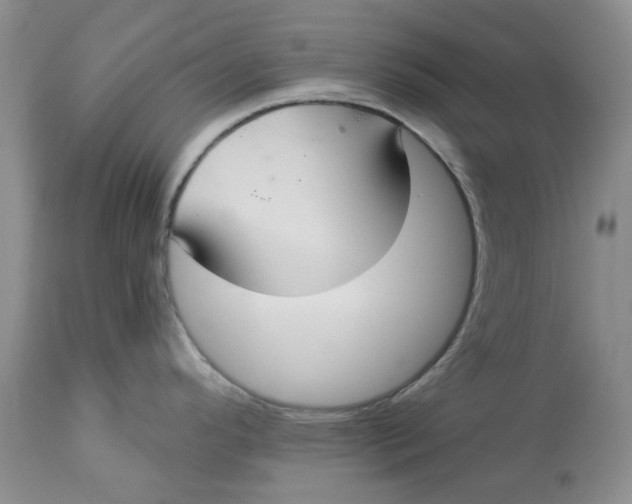 X0000113181296200909251432