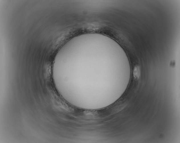 X0000113181299200909251432