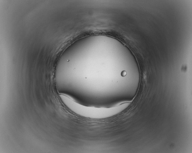 X0000113181300200909251432