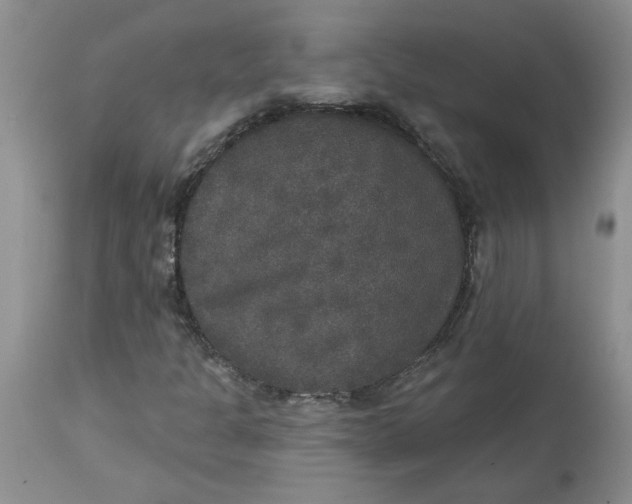 X0000113181301200909251432